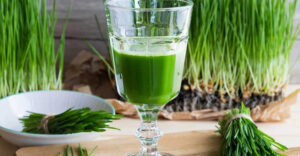wheatgrass-juice